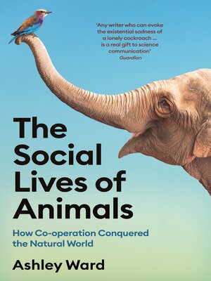 cover image of The Social Lives of Animals